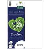 TROPHEE COLOURED PAPER A4 210GSM SNOW WHITE PACK 250