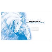 WARWICK DRAWING PAD REFILL PUNCHED A2 110GSM 20 LEAF